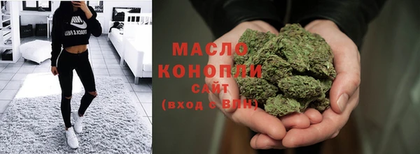 дмт Заводоуковск
