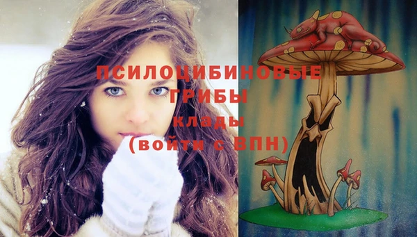 дмт Заводоуковск