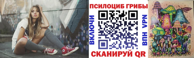 kraken онион  Свободный  Галлюциногенные грибы Psilocybe 