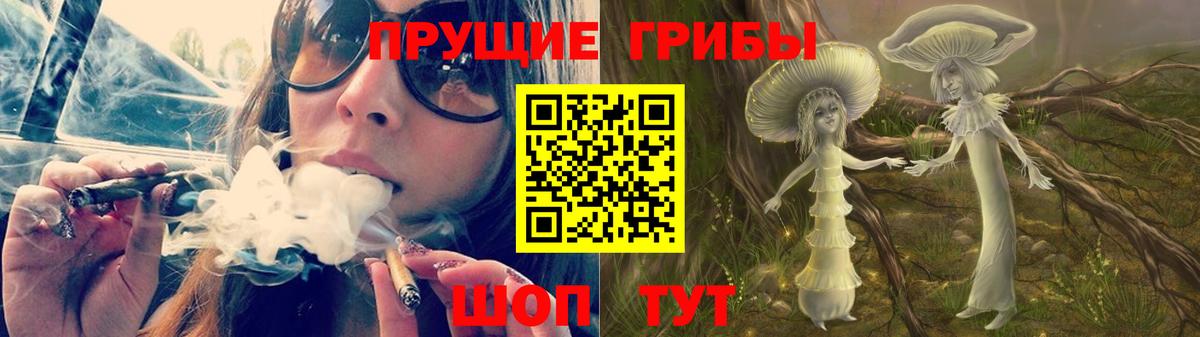 Свободный  Псилоцибиновые грибы мицелий  Галлюциногенные грибы Psilocybine cubensis  Вход с VPN 